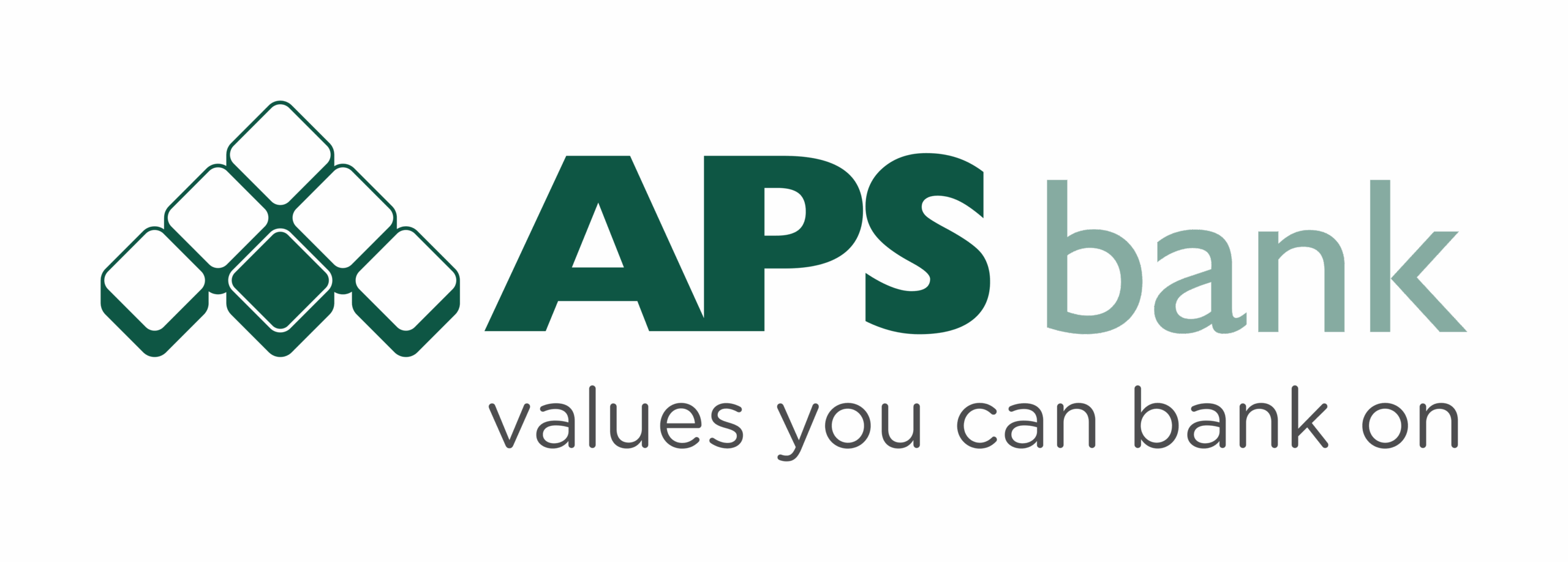 APS Full Logo Primary